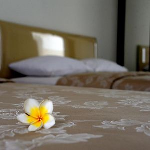 Chambre Familiale